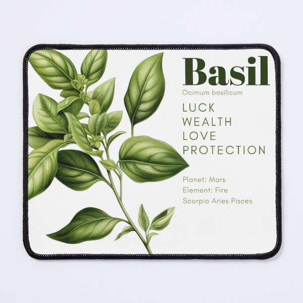 Item preview, Witches' Herbs Basil Luck Wealth and Love designed and sold by treasuresnoire.