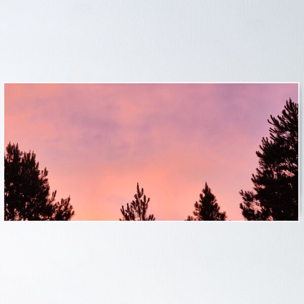 Item preview, Sunset In The South designed and sold by MichelleR.