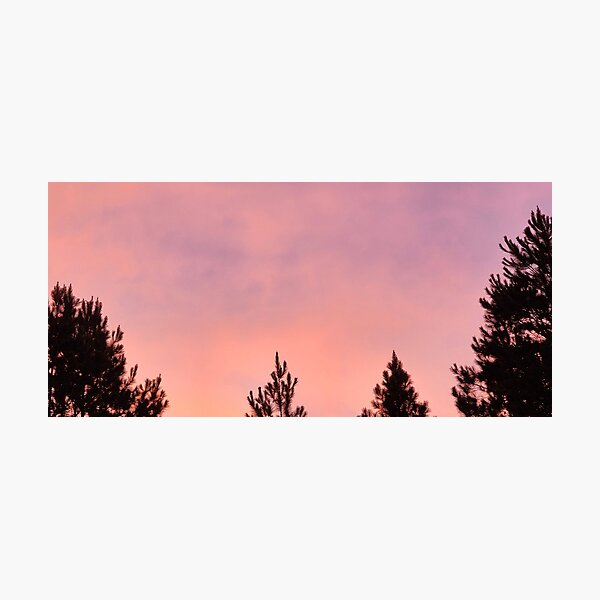 Item preview, Sunset In The South designed and sold by MichelleR.