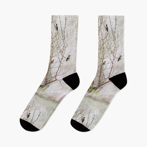 Item preview, The Hummingbird Tree designed and sold by CarolM.