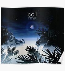 Coil - Musick To Play In The Dark Poster