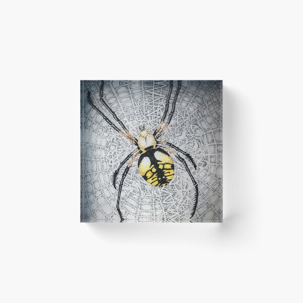 Item preview, Writing Spider (Argiope aurantia) designed and sold by WanderingMogwai.