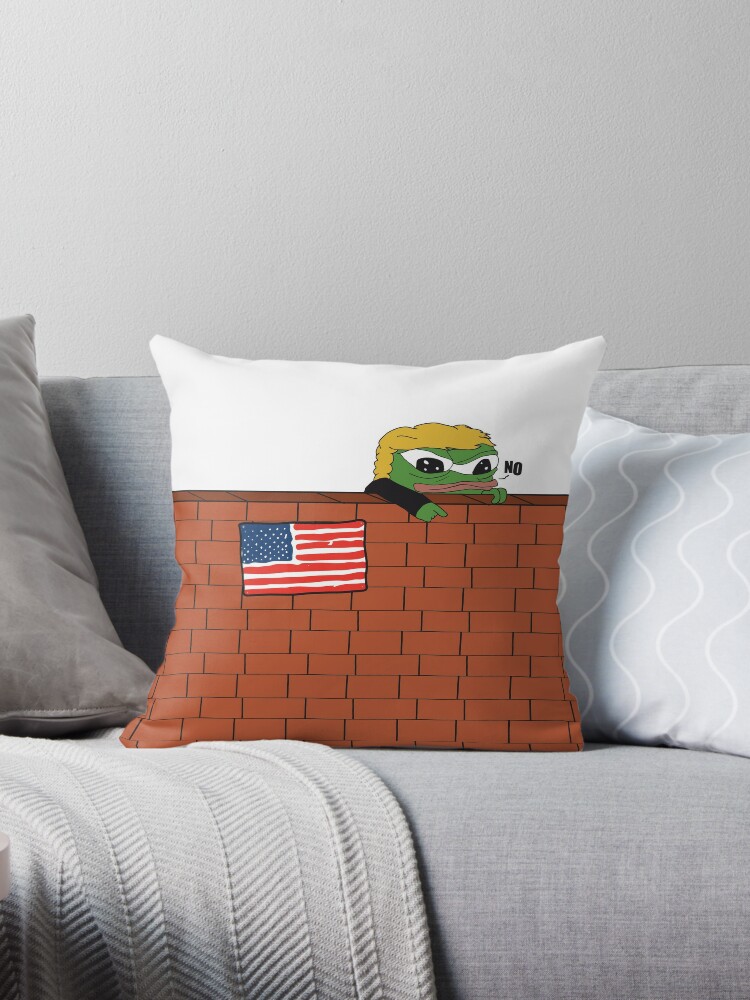 https://ih1.redbubble.net/image.526007013.4729/throwpillow,small,750x1000-bg,f8f8f8.u3.jpg