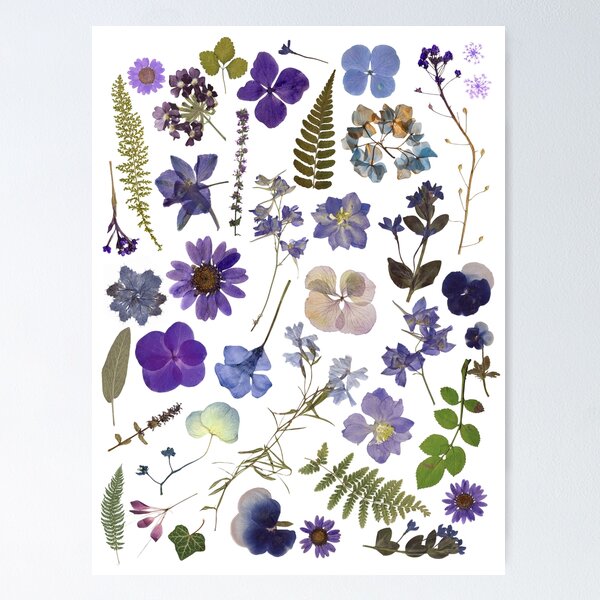 Item preview, Pressed In purple No.2 designed and sold by leahpip.