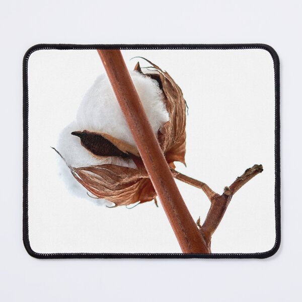 Item preview, cotton flower designed and sold by IgorKovalenko.