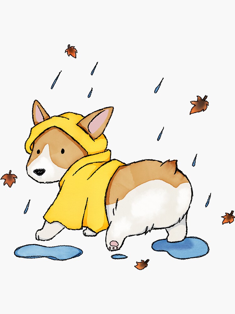 Corgi in a raincoat best sale