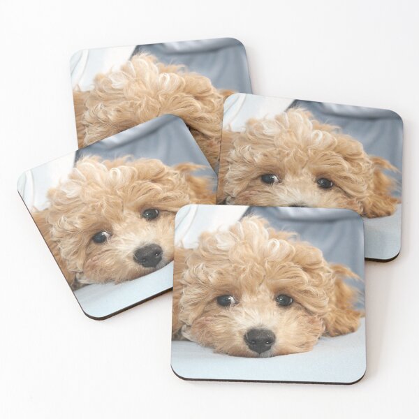 Item preview, Sleepy Maltipoo Puppy designed and sold by Liz Lane.