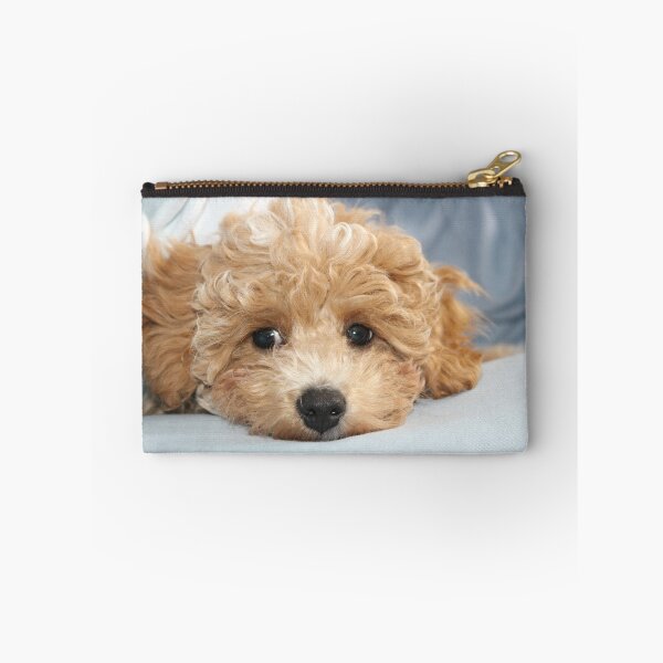 Item preview, Sleepy Maltipoo Puppy designed and sold by Liz Lane.