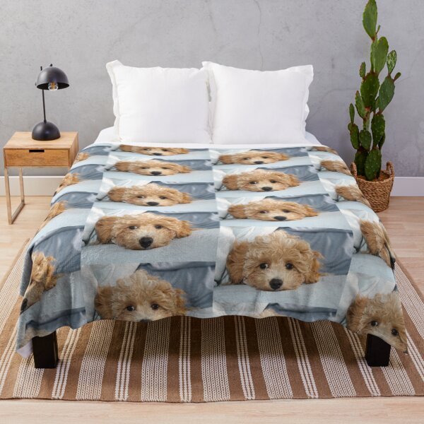 Item preview, Sleepy Maltipoo Puppy designed and sold by Liz Lane.