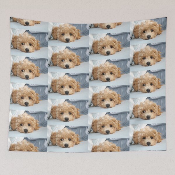 Item preview, Sleepy Maltipoo Puppy designed and sold by Liz Lane.