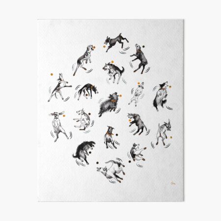 Dogs bad at catching balls Art Board Print