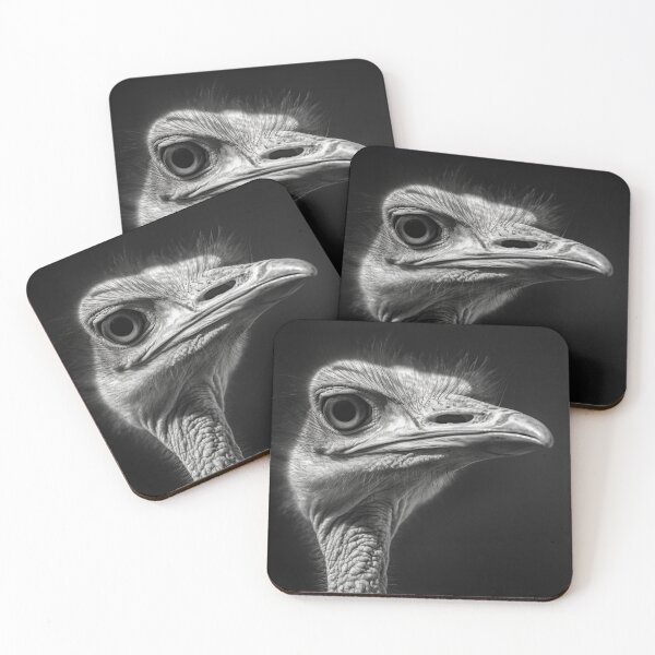 Item preview, BW Ostrich designed and sold by BilgePaksoylu.