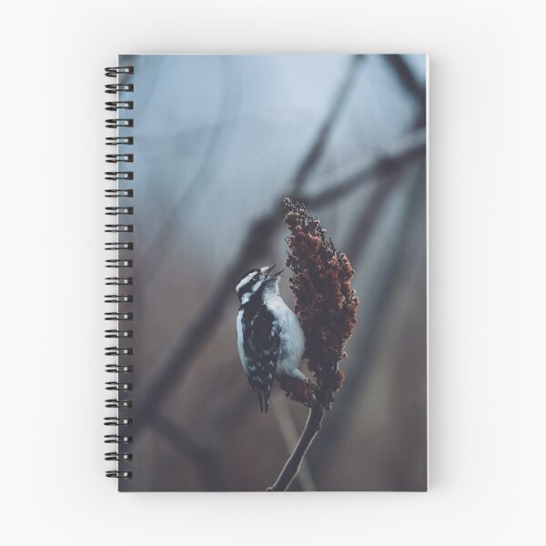 Item preview, Yearning Woodpecker designed and sold by StevenSpringer.
