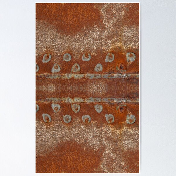 Rivits in Rust by Adelaide Artist Avril Thomas at Magpie Springs Poster