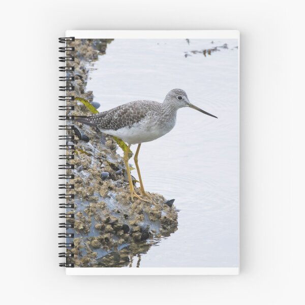 Item preview, Greater Yellowlegs designed and sold by LaurenTucker.