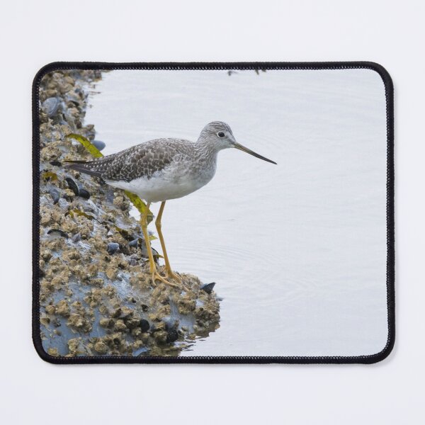 Item preview, Greater Yellowlegs designed and sold by LaurenTucker.