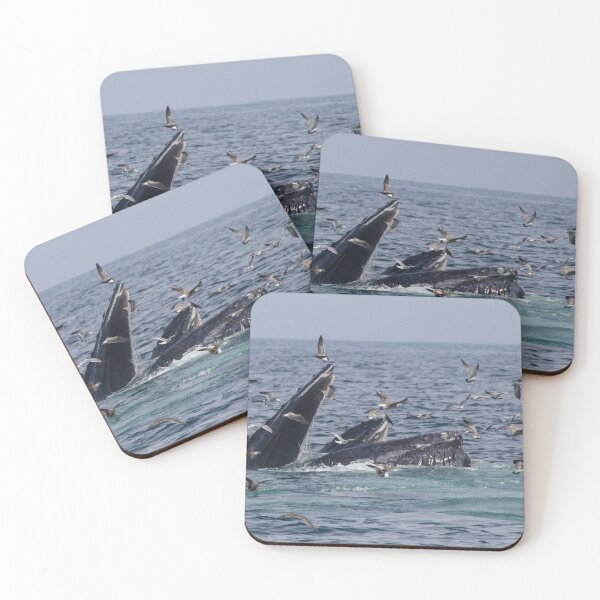 Item preview, Humpback Whale designed and sold by LaurenTucker.