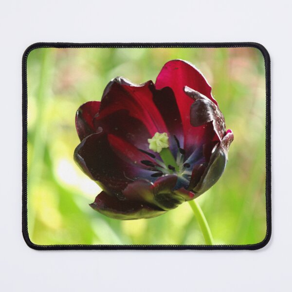 Item preview, Tulip designed and sold by GreySkiesStudio.