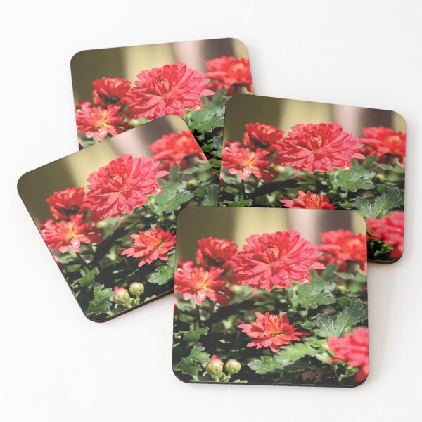 Item preview, A splash of colour with these bronze Chrysanthemums  designed and sold by Bird22Shot.
