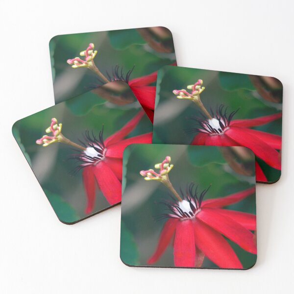 Item preview, Red Passion Fower (Passiflora miniata) designed and sold by Kerryn Madsen-Pietsch.