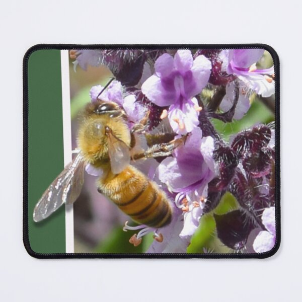 Item preview, BEE AND BASIL FLOWER designed and sold by Elisabeth Dubois.