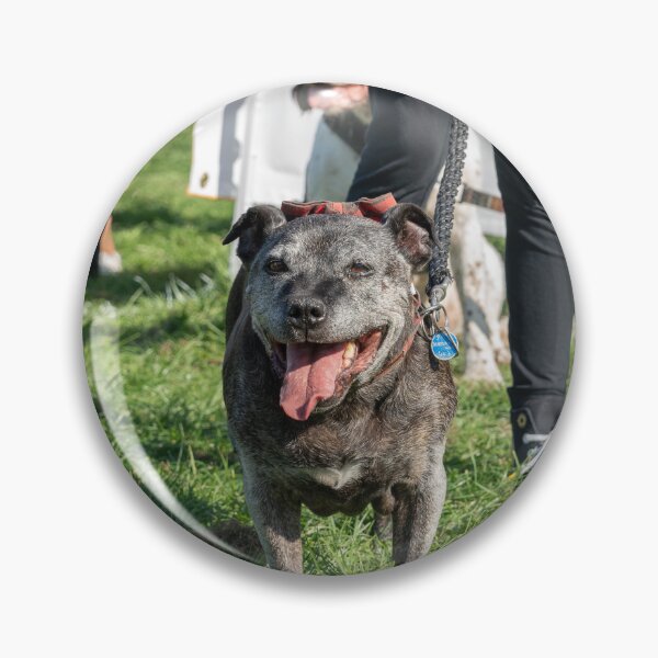 Item preview, Staffy smiling designed and sold by Woodside-RSPCA.
