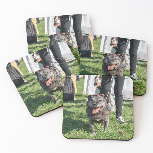 Item preview, Staffy smiling designed and sold by Woodside-RSPCA.