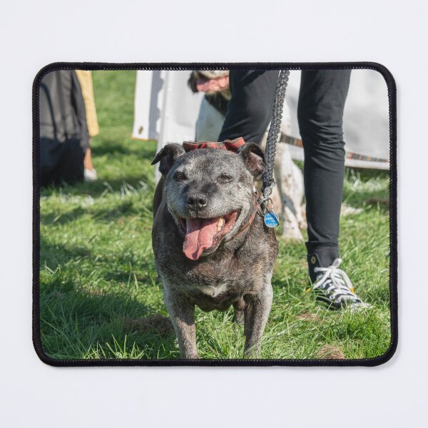Item preview, Staffy smiling designed and sold by Woodside-RSPCA.