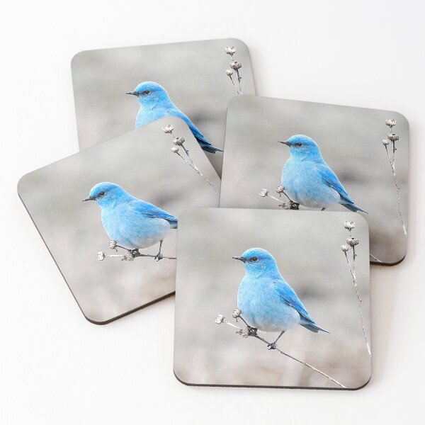 Item preview, Mountain Bluebird on the Tansy designed and sold by walkswithnature.