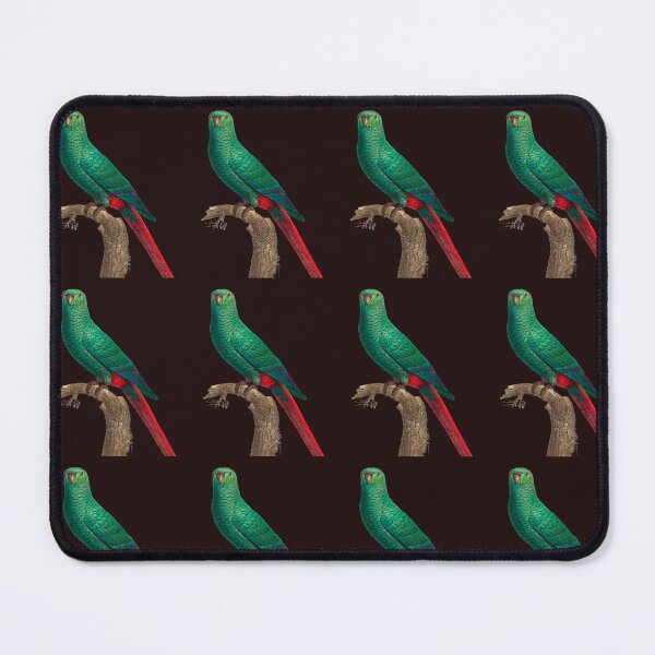 Item preview, parrot head designed and sold by ilyes ⭐⭐⭐⭐⭐.