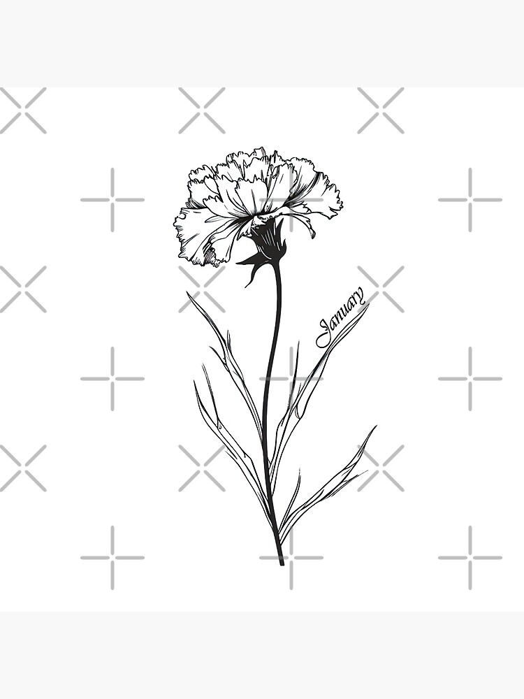 Outline Black Carnation Tattoo, Drawing Carnation Flower Tattoo Outline,  Line Drawing Simple Carnation Tattoo Stock Vector - Illustration of sketch,  tattoo: 283510028