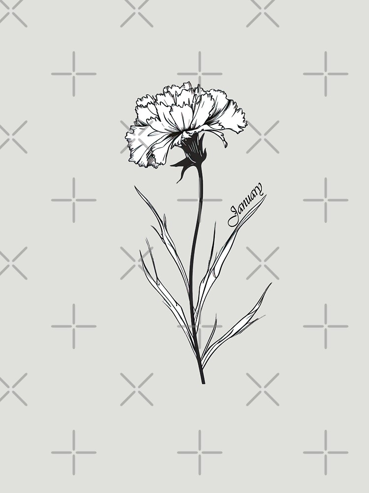 Clove Carnation. Fine art print., Carnation - sugnaux.swiss