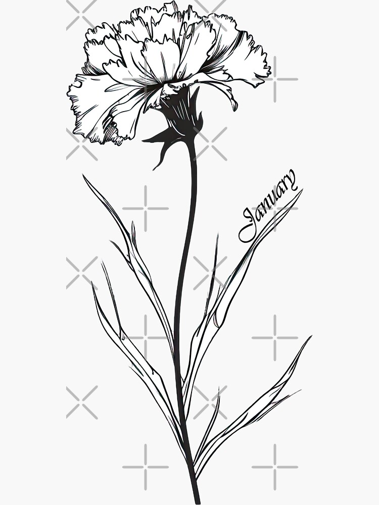 January Line Drawing Simple Carnation Tattoo, January Birth Flower Tattoo,  Carnation January Flower Tattoo, Stock Vector - Illustration of drawing,  decorative: 283510131