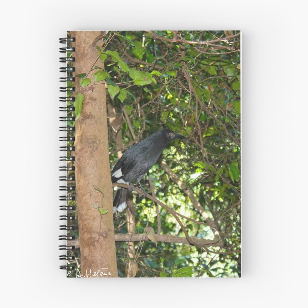 Item preview, Magpie in tree designed and sold by AHELENE.
