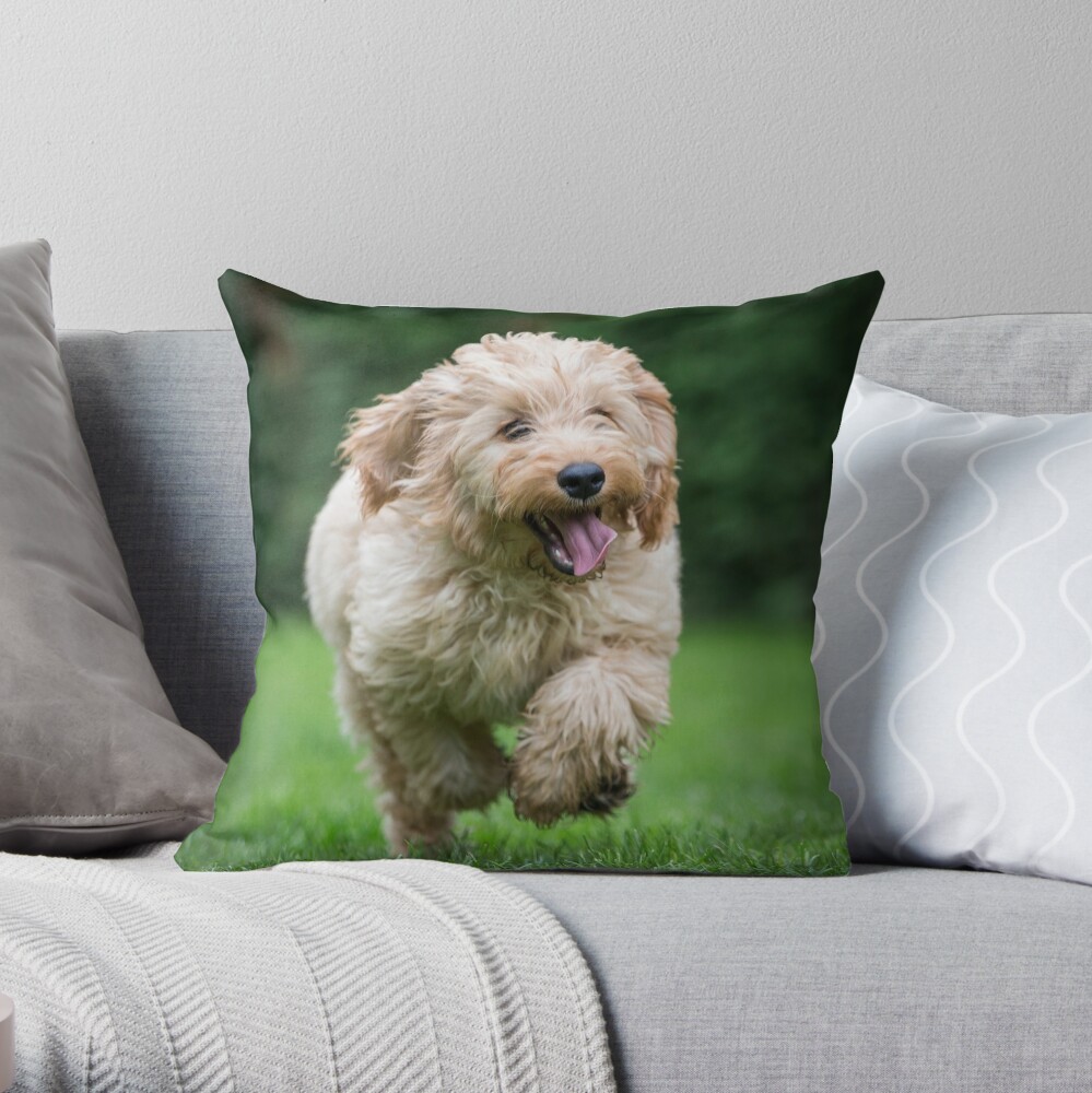 cockapoo pillow