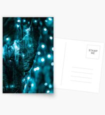 Glowworms in New Zealand Postcards