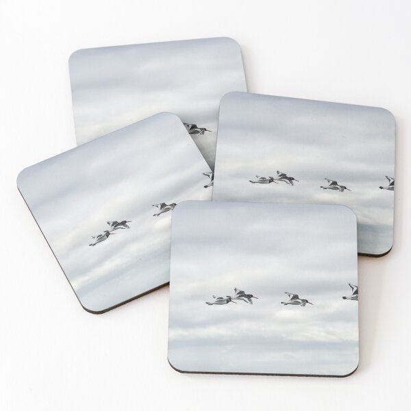 Item preview, Five Oystercatchers in flight - Isle of Arran, Scotland designed and sold by Richard Flint.