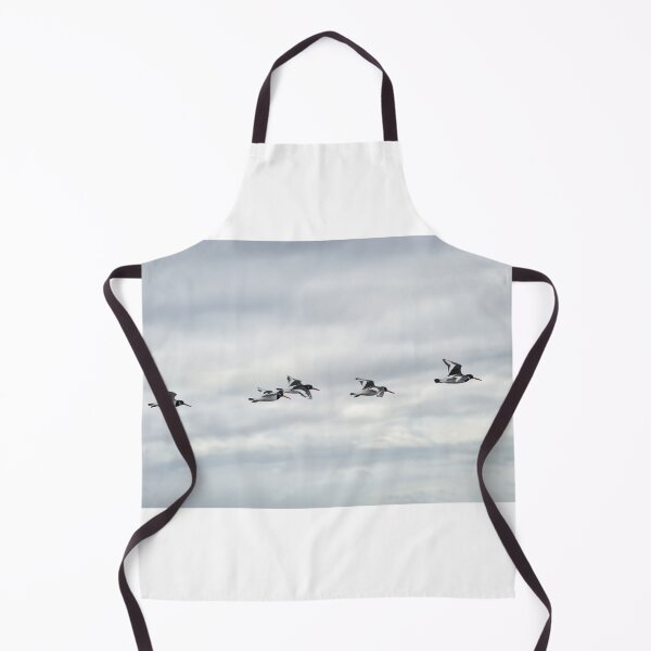Item preview, Five Oystercatchers in flight - Isle of Arran, Scotland designed and sold by Richard Flint.
