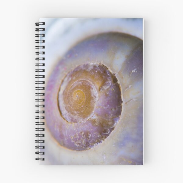 Item preview, purple shell designed and sold by Nicole W..