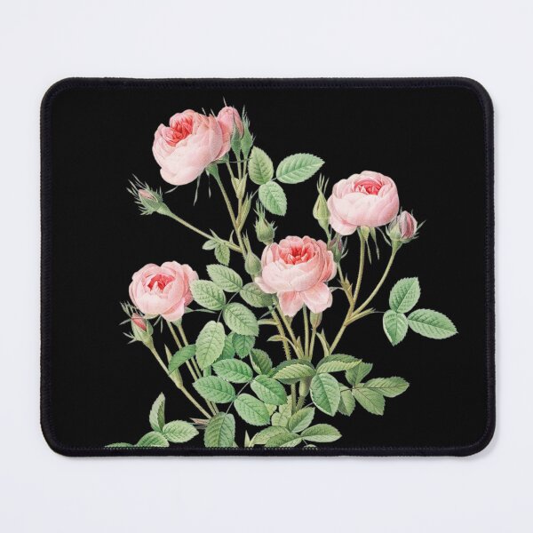 Item preview, Burgundian Rose + Scientific name from Les Roses designed and sold by 29Bumblebee.