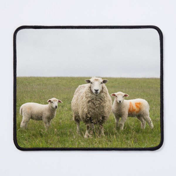 Item preview, English Countryside Sheep designed and sold by parisannea.