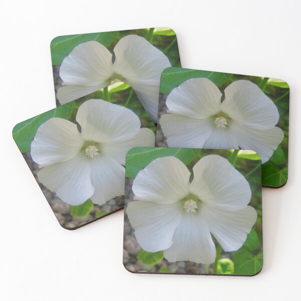 Item preview, Pretty white flower designed and sold by Shulie1.