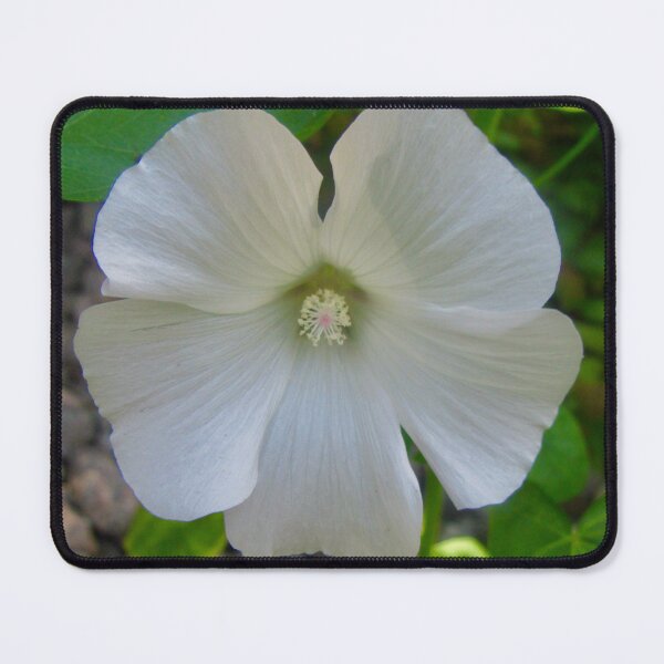 Item preview, Pretty white flower designed and sold by Shulie1.