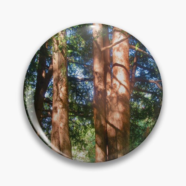 Item preview, Sunlit Cedars designed and sold by Shulie1.