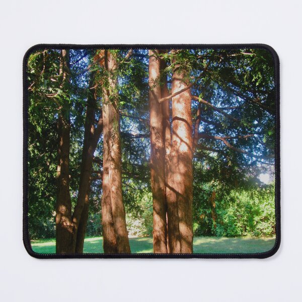 Item preview, Sunlit Cedars designed and sold by Shulie1.