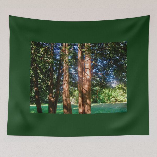 Item preview, Sunlit Cedars designed and sold by Shulie1.