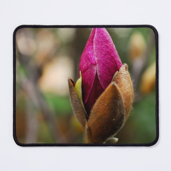 Item preview, Magnolia designed and sold by retropenguin.