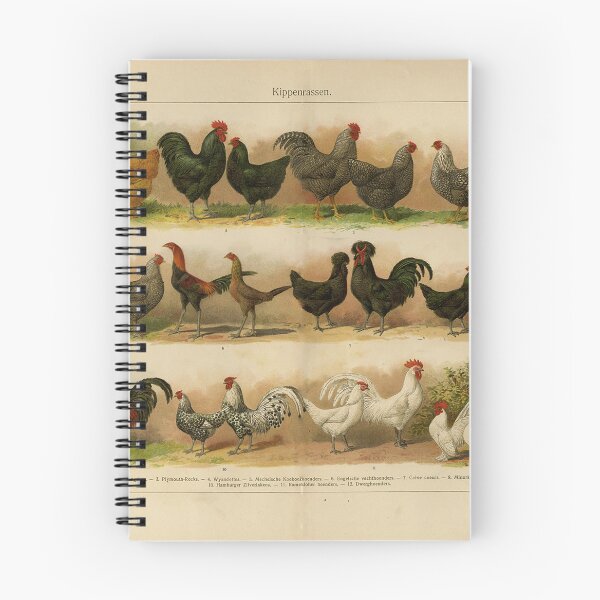 Item preview, Chickens 1 designed and sold by will-o-wares.