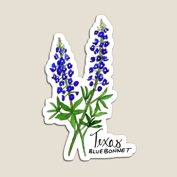 Beautiful Bluebonnet Tattoo Designs for Nature Lovers
