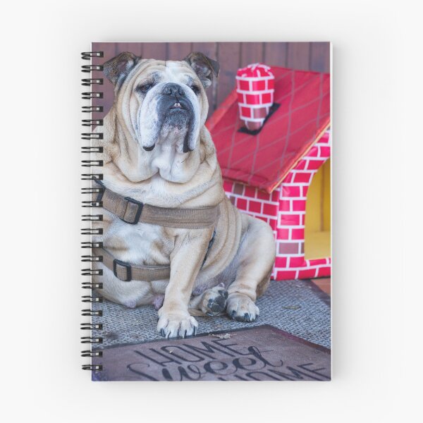 Item preview, Bulldog home sweet home designed and sold by Pokofoto.